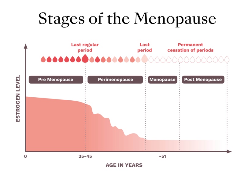 Stages of Menopause